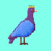 Project Pigeon